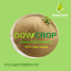 China DOWCROP Hot sale High qulity AMINO ACID CHELATED IRON 100% water soluble fertilizer Organic fertilizer supplier
