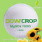DOWCROP HIGH QUALITY 100% WATER SOLUBLE HEPTA SULPHATE MAGNESIUM 99.5% WHITE 1-3MM CRYSTAL MICRO NUTRIENTS FERTILIZER supplier