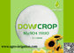 DOWCROP HIGH QUALITY 100% WATER SOLUBLE HEPTA SULPHATE MAGNESIUM 99.5% WHITE 0.1-1MM CRYSTAL MICRO NUTRIENTS FERTILIZER supplier