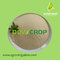 DOWCROP  High   Quality   100%  Water  Soluble Fertilizer  Amino  Acid  Yellow  Powder  50%  Plant   Source supplier