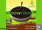 DOWCROP HOT SALE HIGH QUALITY WS@HUMIC ACID NPK PLUS TE LIQUID WS 150-150-200+30HA 100% water soluble organic fertilizer supplier
