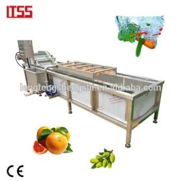 China Factory supply vegetable washing machine add pictures pickled vegetables packing company supplier