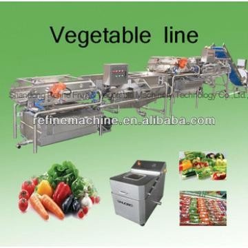 China Vegetable washing machine/potato peeling machine vegetable processing line leafy vegetables supplier