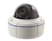960P Low lux Anti-explosion Day & Night Indoor/Outdoor Security IP Cameras DR-IP524V