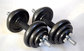 cast iron dia25mm solid painting plates for weight dumbbells supplier