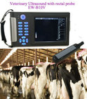 High efficient animal breeding and reproductive ultrasound scanner EW-B10V with rectal probe