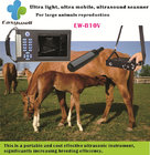 Rectal ultrasound-Testing pregnancy for big animals Veterinary handheld ultrasound scanner EW-B10V with Rectal probe