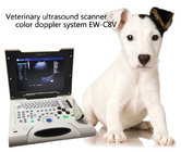 Portable Color Veterinary Ultrasound images EW-C8V with Micro-Convex probe C3.5R10 for Small parts of animal