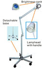 LED minor surgical lamp KS-Q7 mobile type,examination light for diagnostic on Veterinary