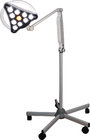 LED minor surgical lamp Q10 mobile type for veterinary examination