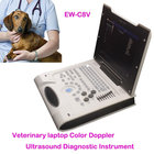 Easy carry Laptop Veterinary Ultrasound Scanner Color Doppler Ew-C8V with Convex Probe for Abdominal and Reproduction
