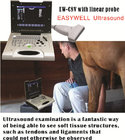Affordable Color Veterinary Ultrasound System EW-C8V with Linear probe for Surface testing of small and large animals