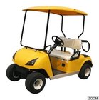 2 person electric golf buggy cheap DG-C2 with CE certificate