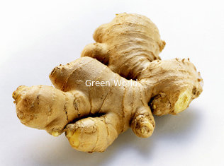 2016 New Crop China Quality High Fresh Organic Normal Yellow Color Ginger