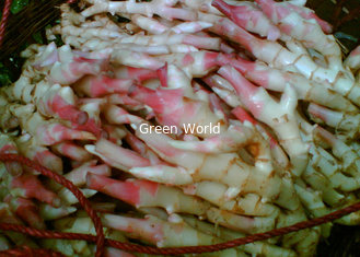 2016 New Crop China Quality High Fresh Organic Ginger at Cheap Price