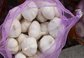 Shandong China Pure and Normal White Organic Garlic with New Crop