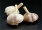 2016 New Common White Garlic Products with 4.0cm Size