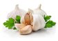 2016 China New Crop Common and Pure White Garlic Products with 3.5cm up  Size