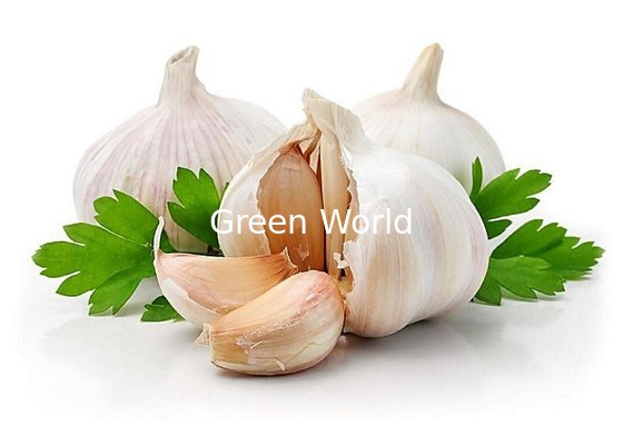 2016 China Normal White Color Garlic with New Crop, Organic Garlic