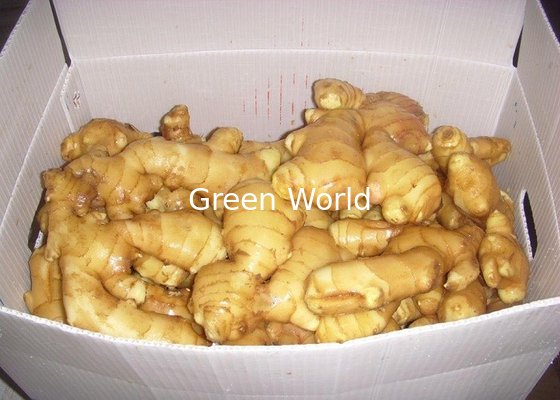 2016 China Fresh Organic Ginger  Yellow Color Ginger