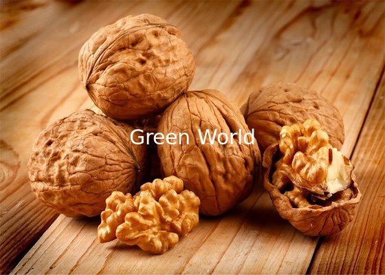 New Organic Thin China Fresh Raw Walnut with Shell For Export