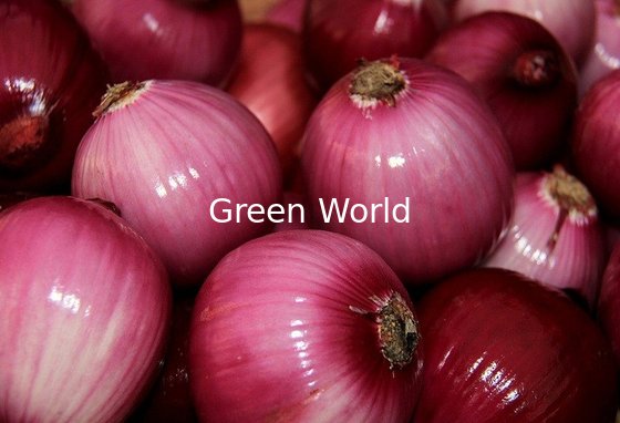 China Fresh Red/White/Yellow Onion For Export Fresh Organic Onion