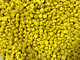 Supply Very Compeitive Yellow Masterbatch