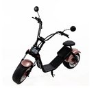 EcoRider 1200W Long Range 2 Wheel Electric Scooter Citycoco with EEC for Adult