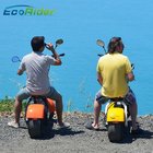EcoRider hot sale fat tire city scooter ,40km/h eletric scooter with VIN plate and COC