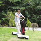 EcoRider golf board 60V electric golf cart 4 wheel electric scooter with removable handle
