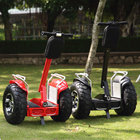 Double Battery Brushless Motor Two Wheeled Electric Scooter Segway Electric Scooter