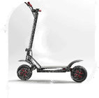 EcoRider CE 60V 3600W Powerful Perfect Design Foldable Electric Scooter with Removable Seat