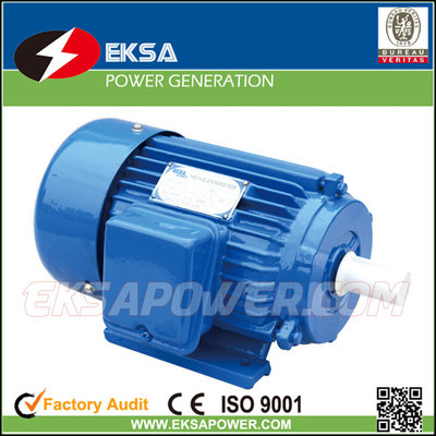 China Y series 220V induction electric motor supplier