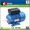 Y series 220V induction electric motor supplier