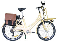 High performance Classic Dutch e bike , adult electric bicycle with Brushless Motor for sale