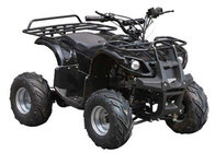 500W / 800W / 1000W Electric Quad ATV 4 wheel  for teenagers With CE for sale
