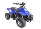 cheap Small High speed 36V or 48V , 500W or 750W Electric Quad ATV for youth