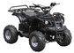 cheap 500W / 800W / 1000W Electric Quad ATV 4 wheel for teenagers With CE