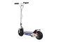 Folding Electric Scooter with 300W Hub Motor and 36V/14AH Ternary Battery supplier