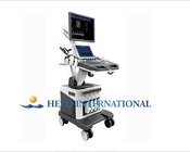 Top quality trolley ultrasound scanner with touch screen echo cardiac