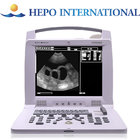 12" monitor portable vet ultrasound scanner with CE digital color doppler