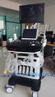 15" monitor Digital ultrasound machine with 3D software trolley scanner