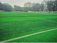 sports artifical grass, artificial grass tiles, artificial grass wall from Qingdao Singreat in chinese(Evergreen Properi