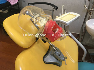 China High Quality Dental Manikin supplier