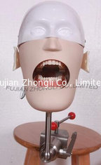 China Cheap Dental Manikin Simulator Phantom Head Magnetic System Water Drainage supplier