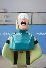 China high quality dental simulation  manikin phantom head training torso&amp;oral care water cover supplier
