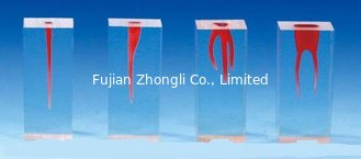 China Root Canal Model S2 Series supplier