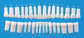 Dental Teeth for  Replacing Frasaco Typodont or Nissin Typodont supplier