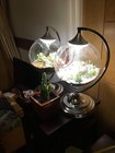 DIY TOYS CHILDREN LOVELY LIGHT，Protect eyesight LAMP，succulent plants lamp,usb plug wire lamp,1.5m wire length,sliver