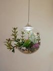 Simulation flowers GLASS LAMP CHILDREN LOVELY LIGHT，Protect eyesight LAMP，succulent plants lamp,usb plug wire lamp